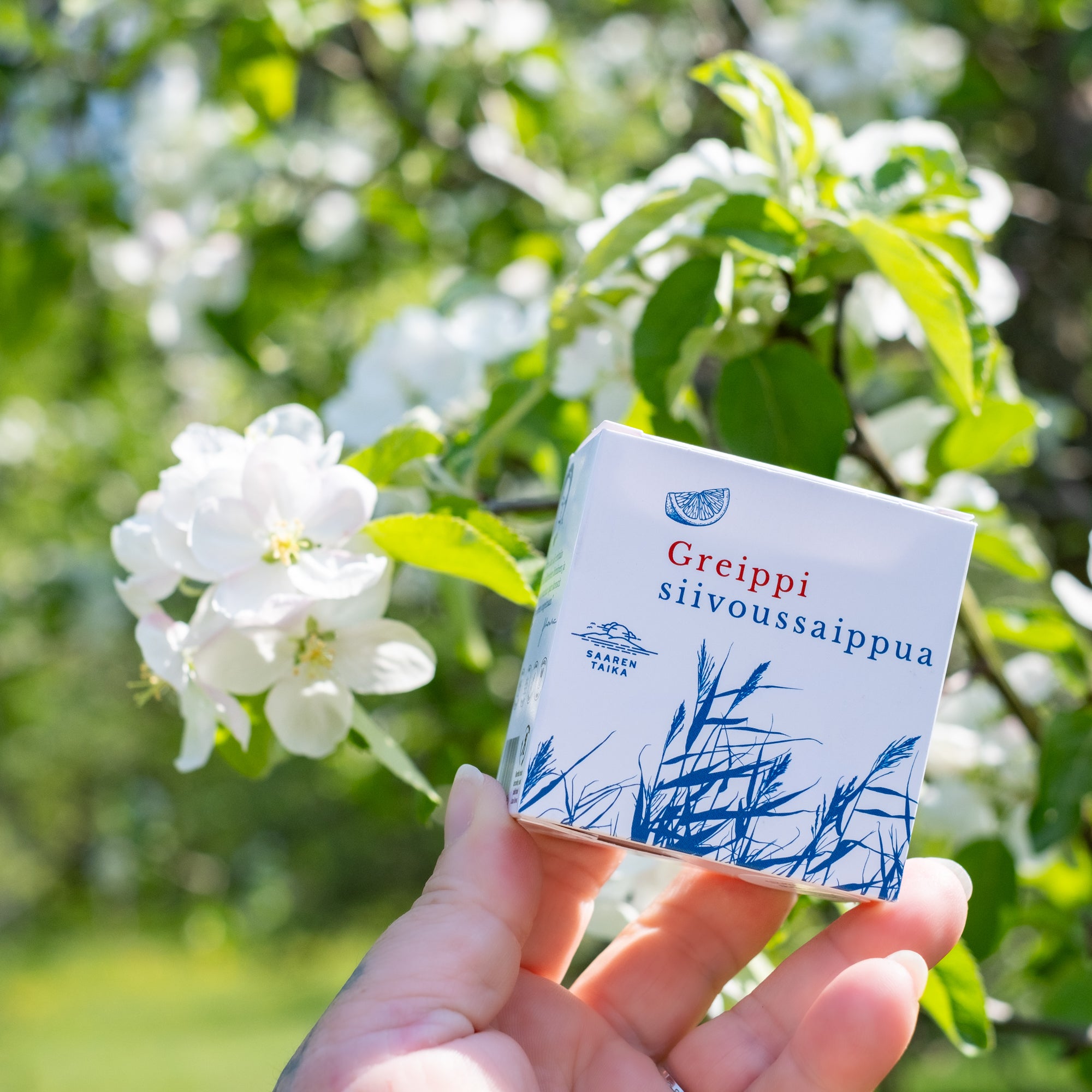 Greippi Siivoussaippua